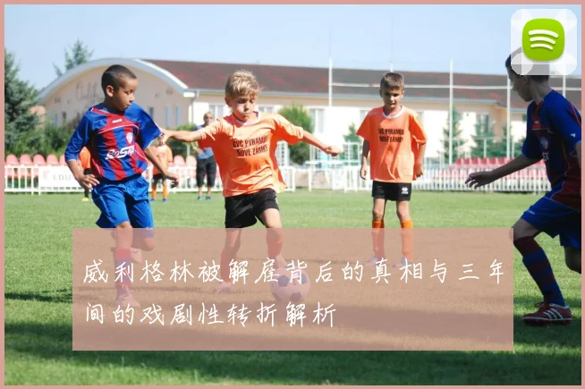 威利格林被解雇背后的真相与三年间的戏剧性转折解析